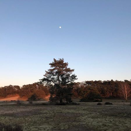 Bonte Specht Villa Otterlo Bagian luar foto