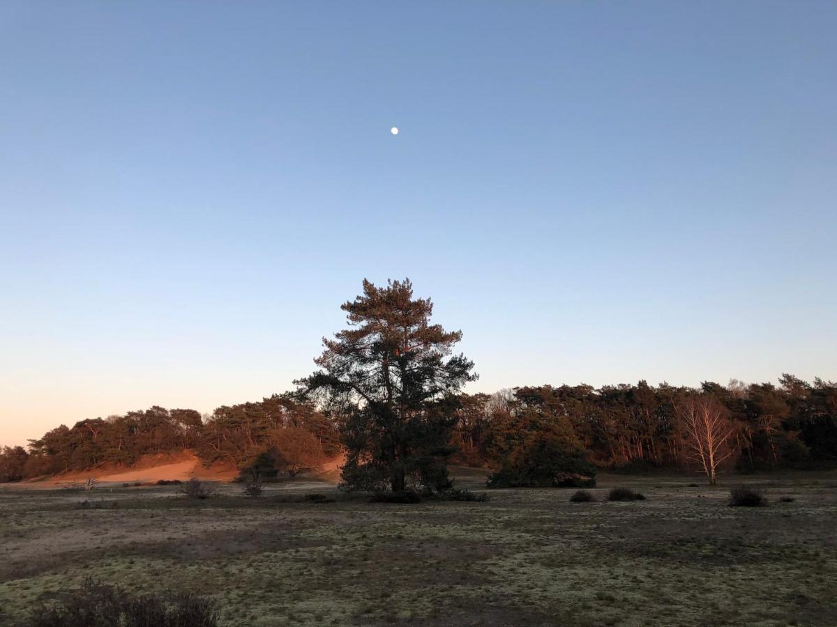 Bonte Specht Villa Otterlo Bagian luar foto