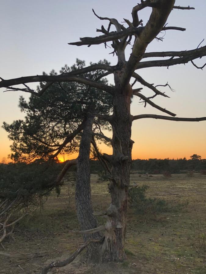 Bonte Specht Villa Otterlo Bagian luar foto